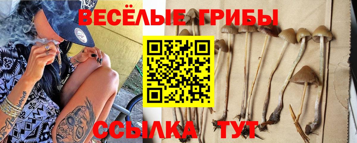 Галлюциногенные грибы прущие грибы Вязьма